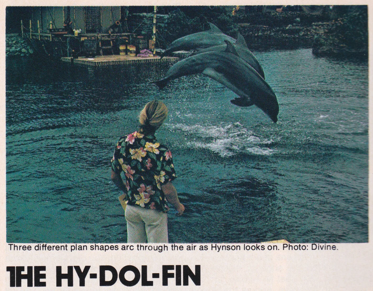 Hy-Dol-Fin, Surfer March 1974 photo: Divine