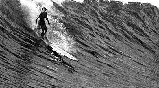 History of the Fin