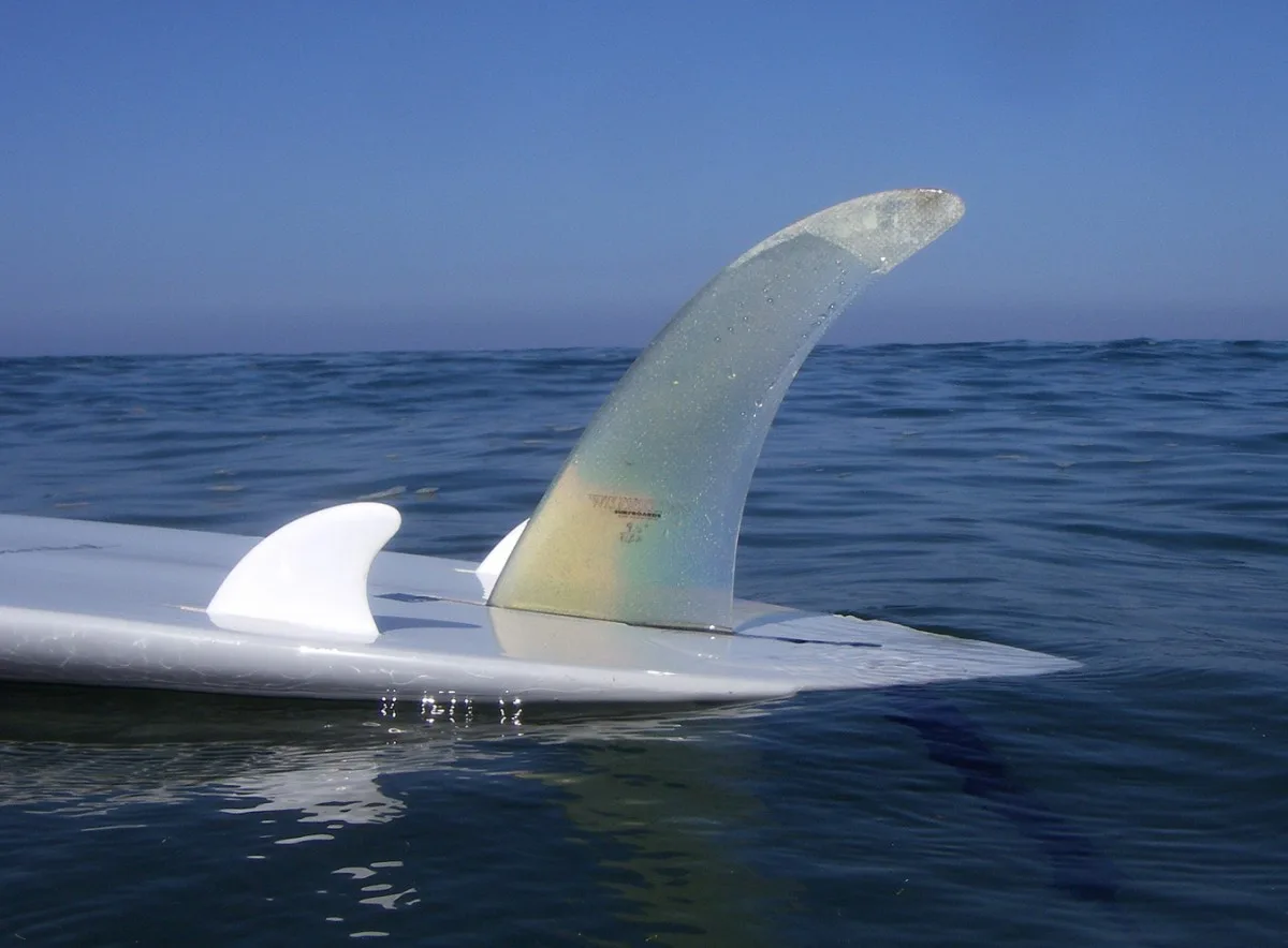 Wilderness 9.5" flex fin, 2.75" side fins photo: Merson